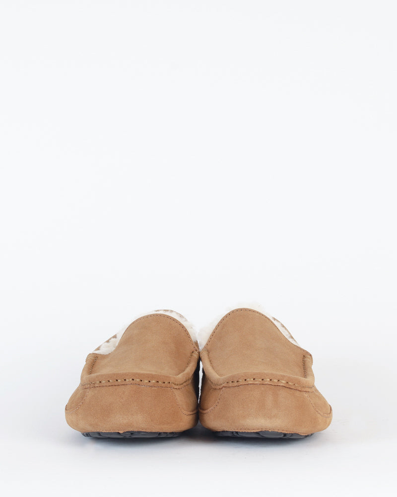 Chaussons & pantoufles UGG MEN - Chausson ascot ugg men