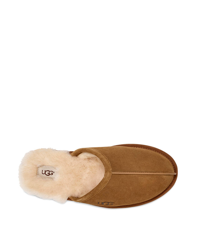 Ugg scuff online pop